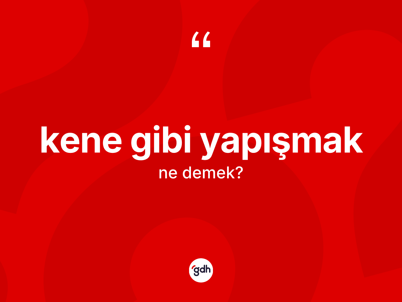 Kene gibi yapışmak ifadesinin anlamı nedir? Kene gibi yapışmak ifadesi nerede kullanılır?