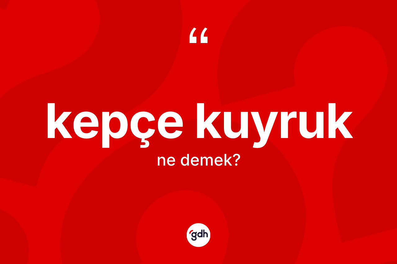 Kepçe kuyruk kelimesinin sözlükteki tanımı nedir? Kepçe kuyruğun TDK'ya göre anlamı nedir?