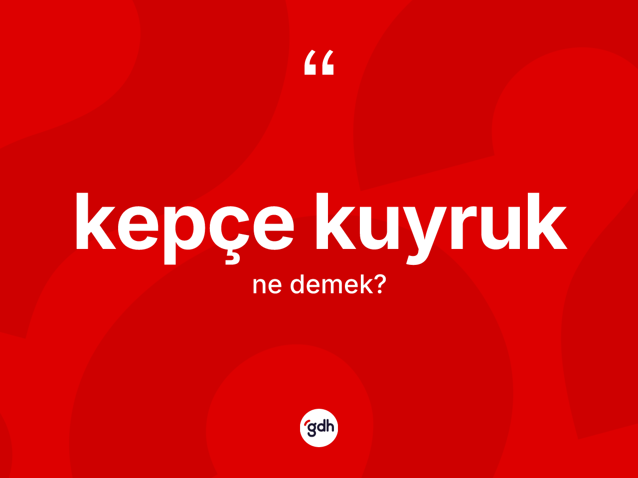 Kepçe kuyruk kelimesinin sözlükteki tanımı nedir? Kepçe kuyruğun TDK'ya göre anlamı nedir?