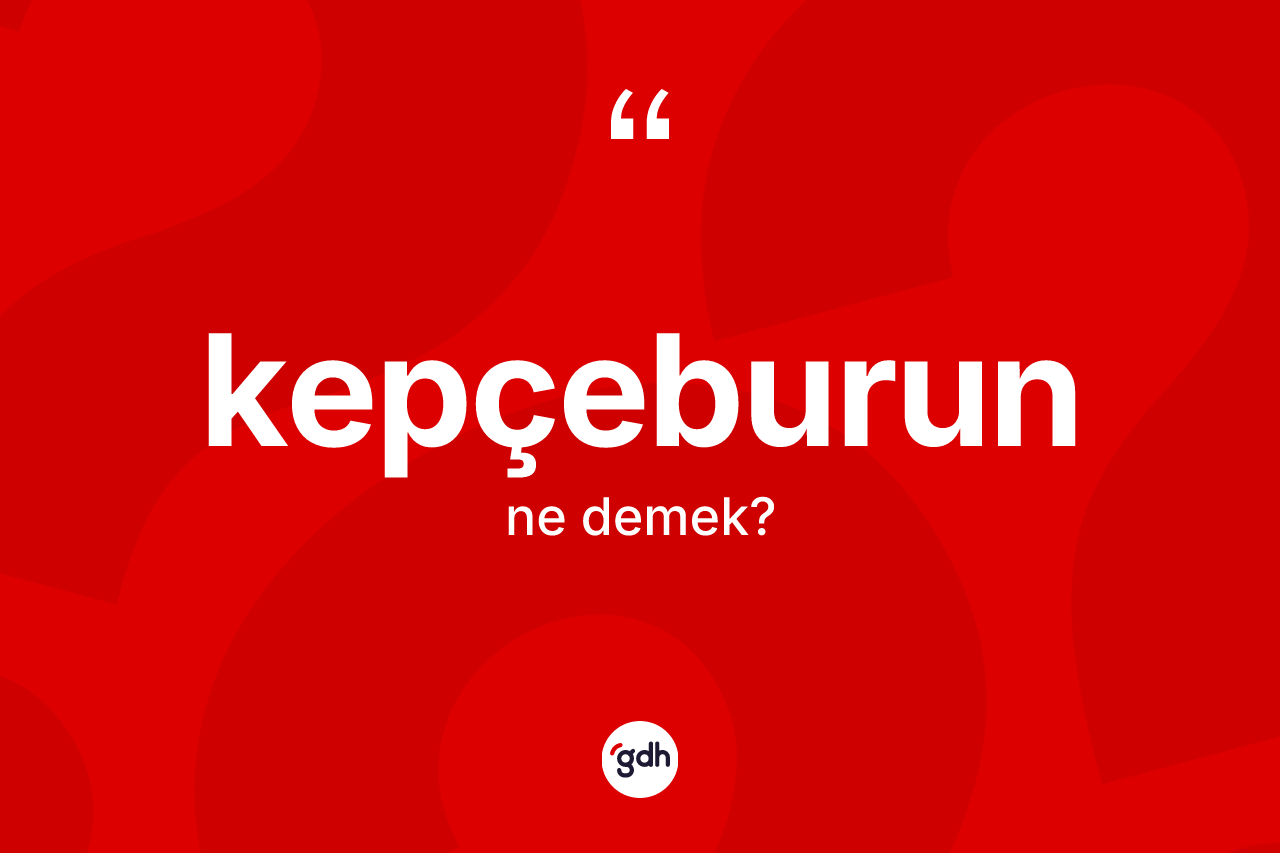 Kepçeburun ne anlama gelir? Kepçeburun kelimesinin özellikleri nelerdir?