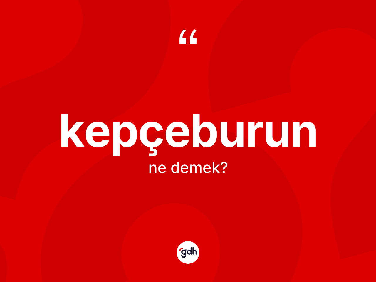 Kepçeburun ne anlama gelir? Kepçeburun kelimesinin özellikleri nelerdir?