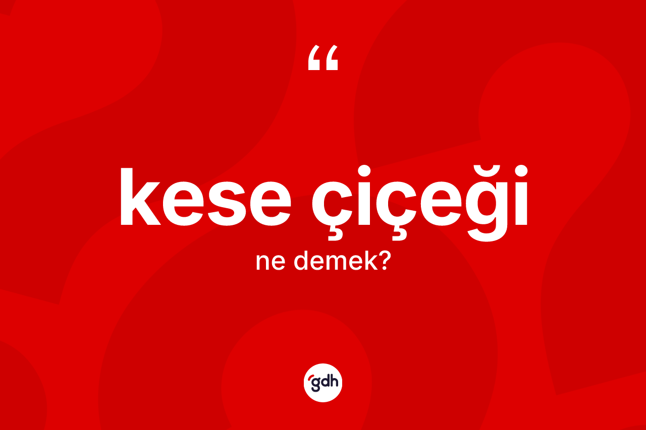 Kese çiçeği ne demek? Kese çiçeğinin sözlükteki anlamı nedir?