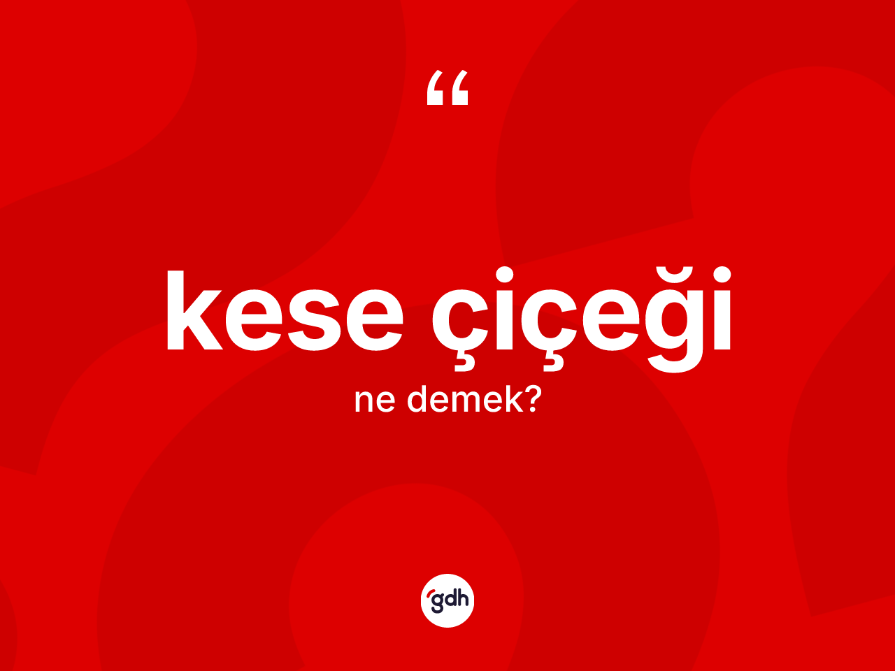 Kese çiçeği ne demek? Kese çiçeğinin sözlükteki anlamı nedir?