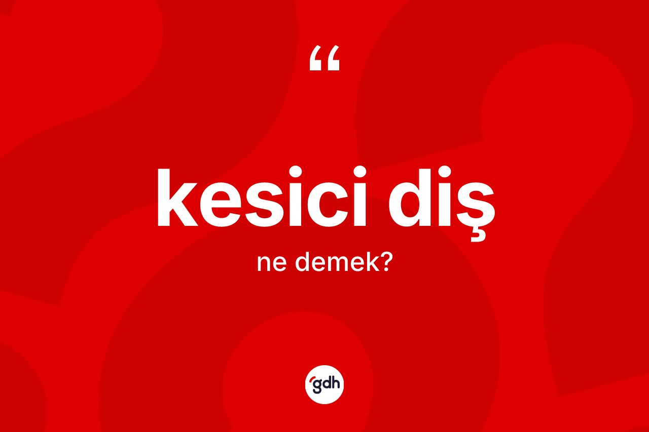 Kesici diş kelimesinin sözlükteki tanımı nedir? Kesici diş kelimesinin TDK anlamı nedir?