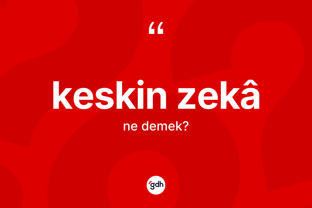 Keskin zekâ  ne demek?