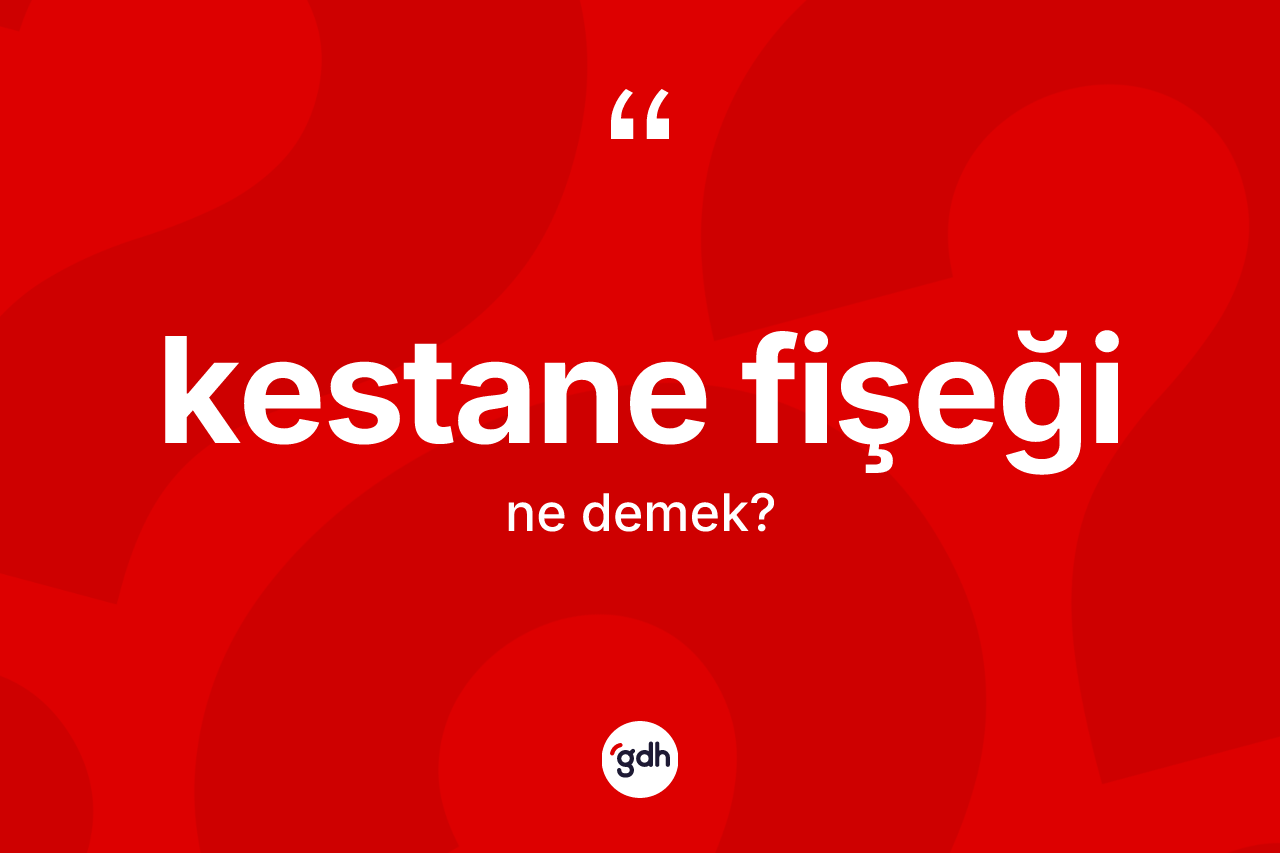 Kestane fişeği kelimesinin anlamı nedir? Kestane fişeğinin TDK'ya göre anlamı nedir?