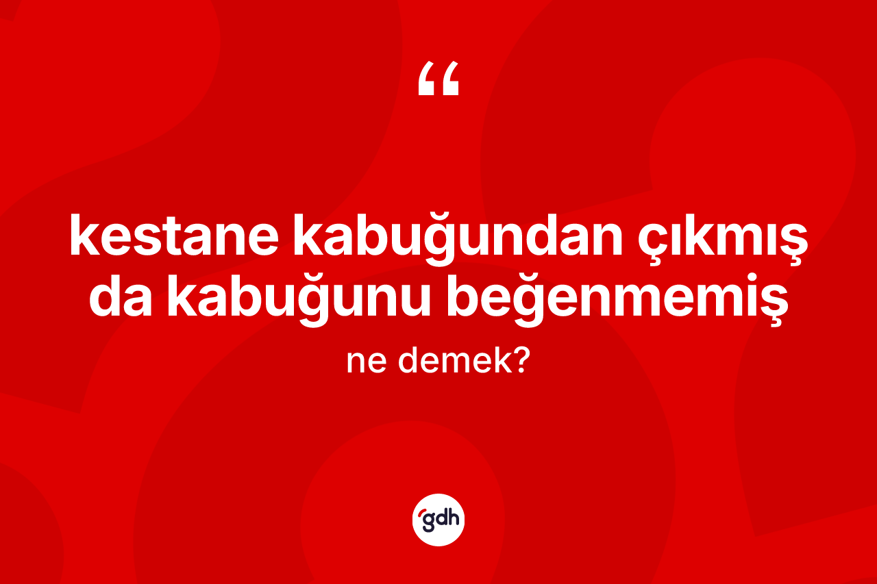 Kestane kabuğundan çıkmış da kabuğunu beğenmemiş nedir? Kestane kabuğundan çıkmış da kabuğunu beğenmemiş ifadesinin TDK açıklaması nedir?