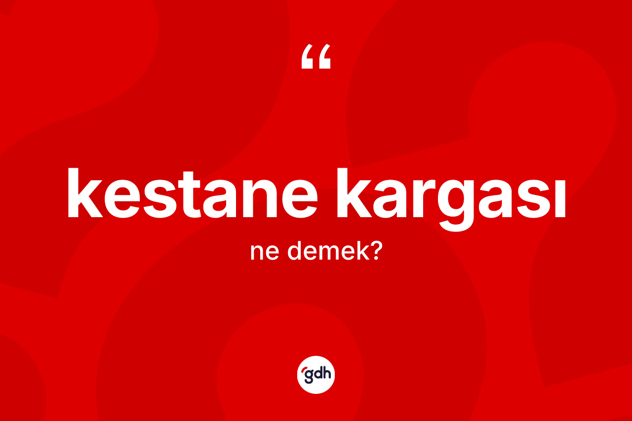 Kestane kargası kelimesi ne demek?
