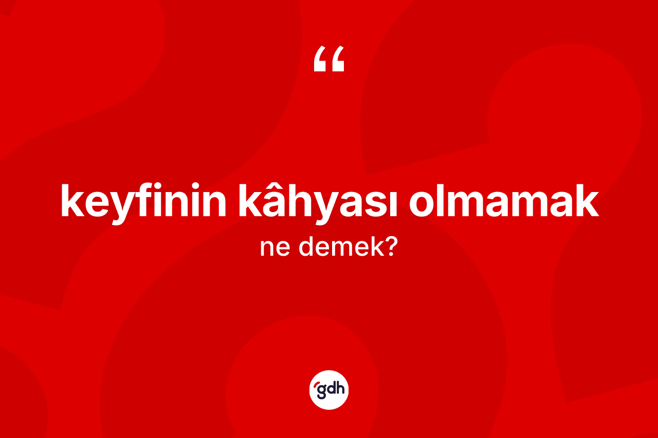 Keyfinin kâhyası olmamak ifadesinin tanımı nedir? Keyfinin kâhyası olmamak ifadesi hangi durumlarda kullanılır