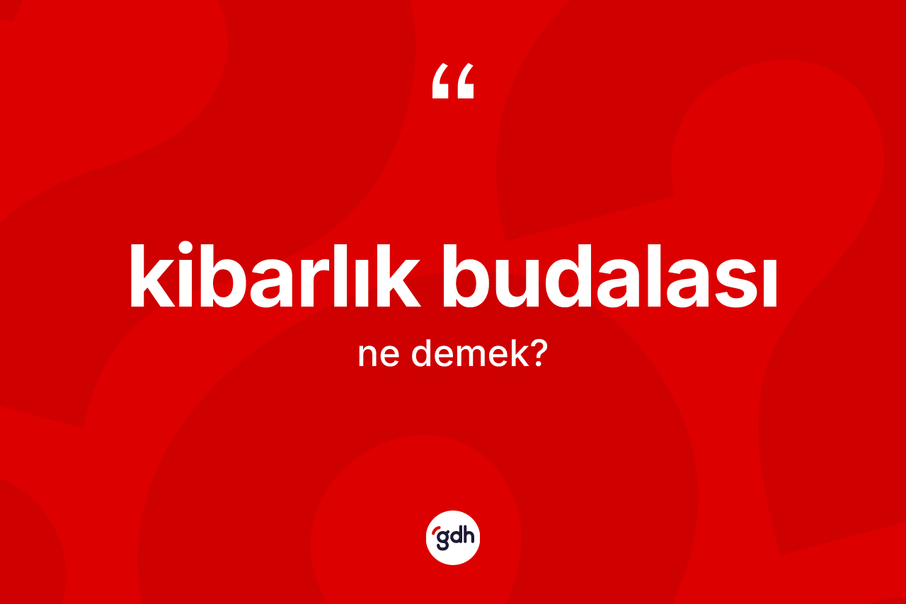 Kibarlık budalası kelimesinin tanımı nedir?