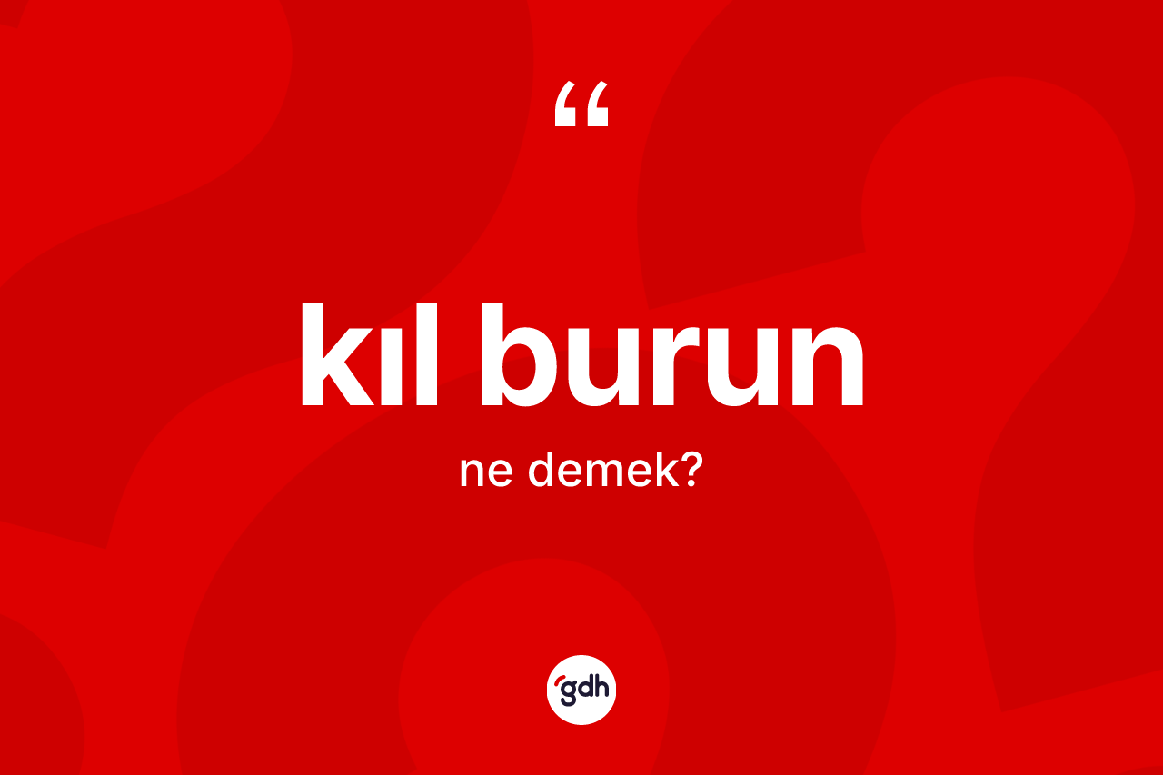 Kıl burun nedir? Kıl burun kelimesinin özellikleri nelerdir?