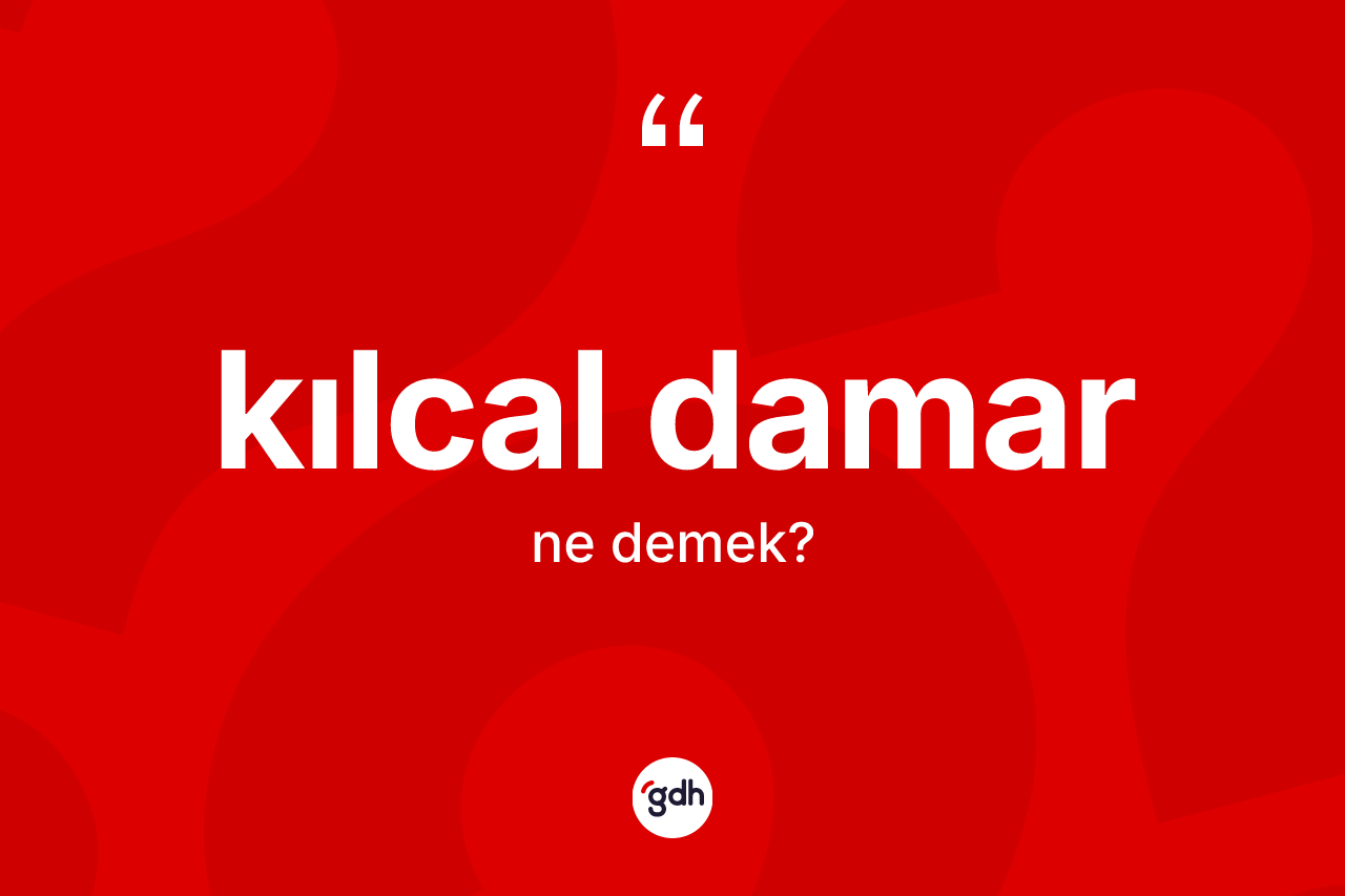 Kılcal damar kelimesinin tanımı nedir? Kılcal damar kelimesinin özellikleri nelerdir?