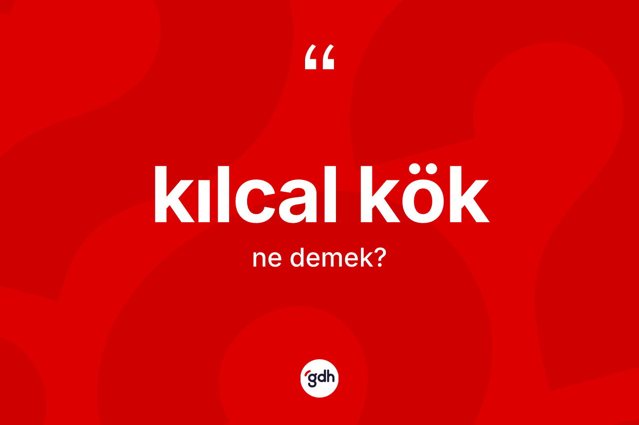 Kılcal kök kelimesi ne demek?