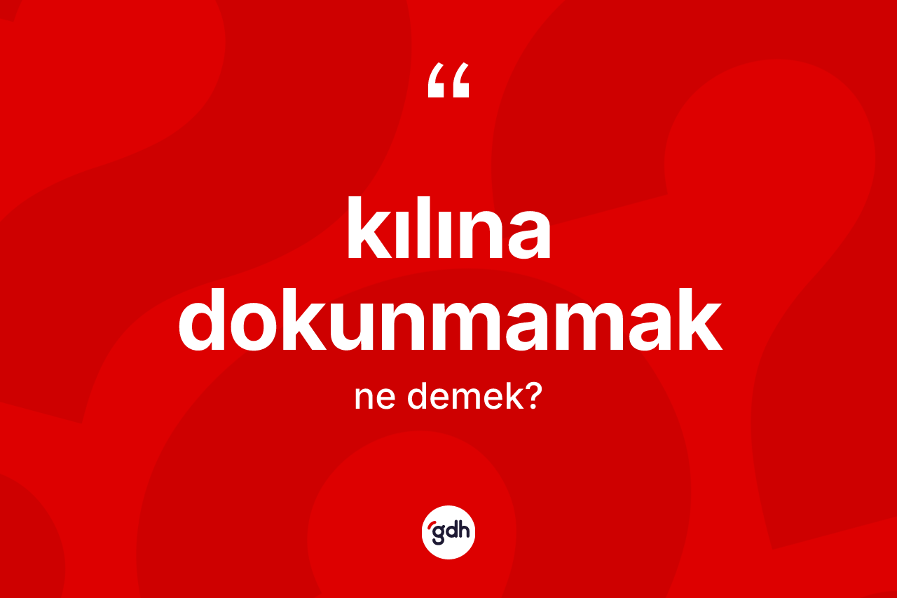 Kılına dokunmamak sözü ne demektir? Kılına dokunmamak ifadesinin TDK'ya göre açıklaması nedir?