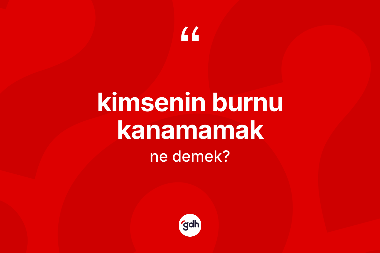 Kimsenin burnu kanamamak ifadesinin anlamı nedir?