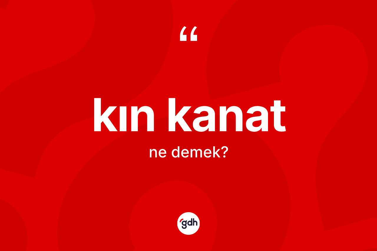Kın kanat kelimesinin tanımı nedir? Kın kanadın sözlükteki anlamı nedir?