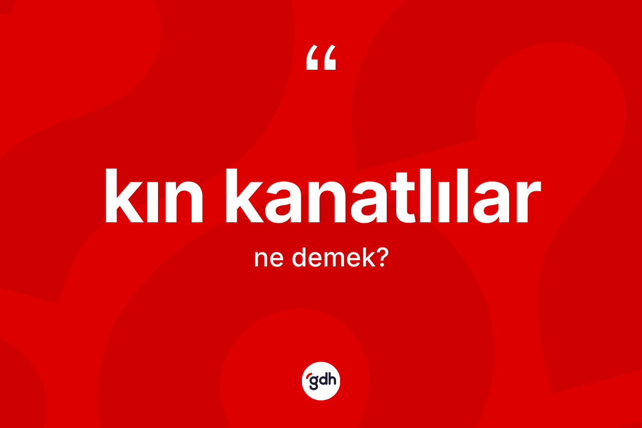 Kın kanatlılar kelimesinin tanımı nedir? Kın kanatlılar kelimesinin TDK anlamı nedir?