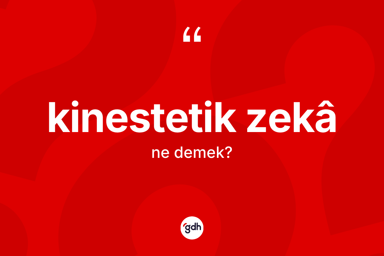 Kinestetik zekâ  kelimesi ne anlama gelir?