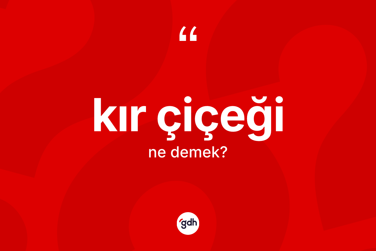 Kır çiçeği kelimesinin tanımı nedir? Kır çiçeğinin halk arasındaki kullanımı nasıldır?