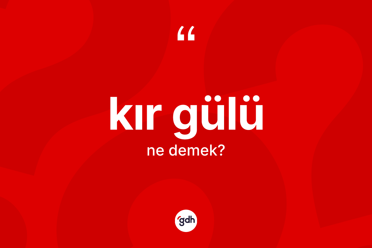 Kır gülü ne demek?