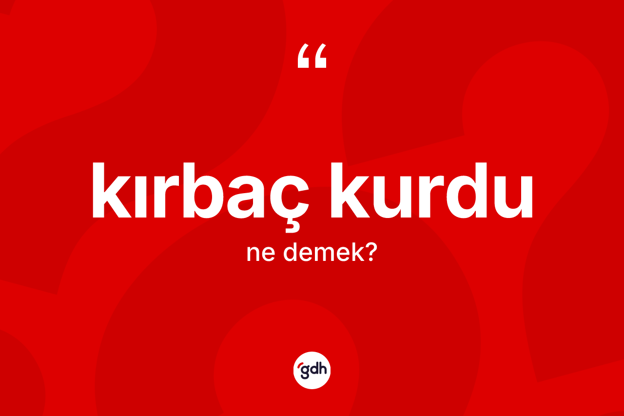 Kırbaç kurdu nedir? Kırbaç kurdu kelimesinin kaç farklı anlamı var?