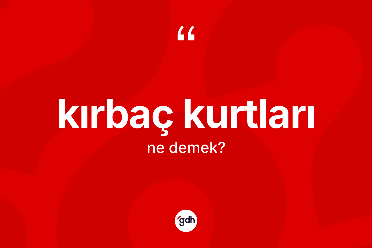 Kırbaç kurtları kelimesinin anlamı nedir?