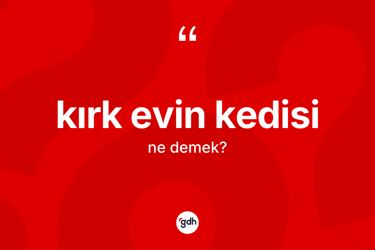 Kırk evin kedisi ne demektir?