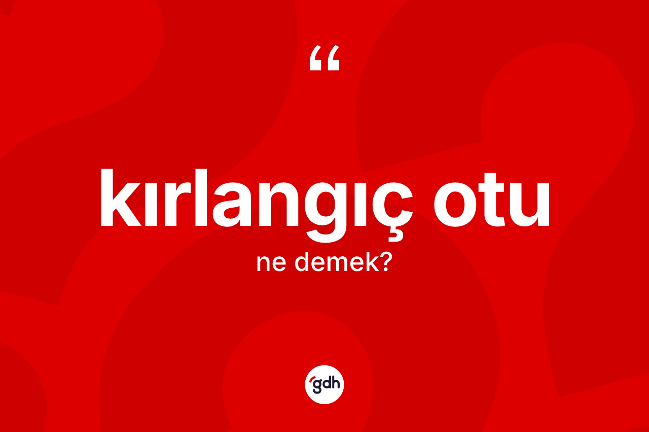 Kırlangıç otu ne demek?