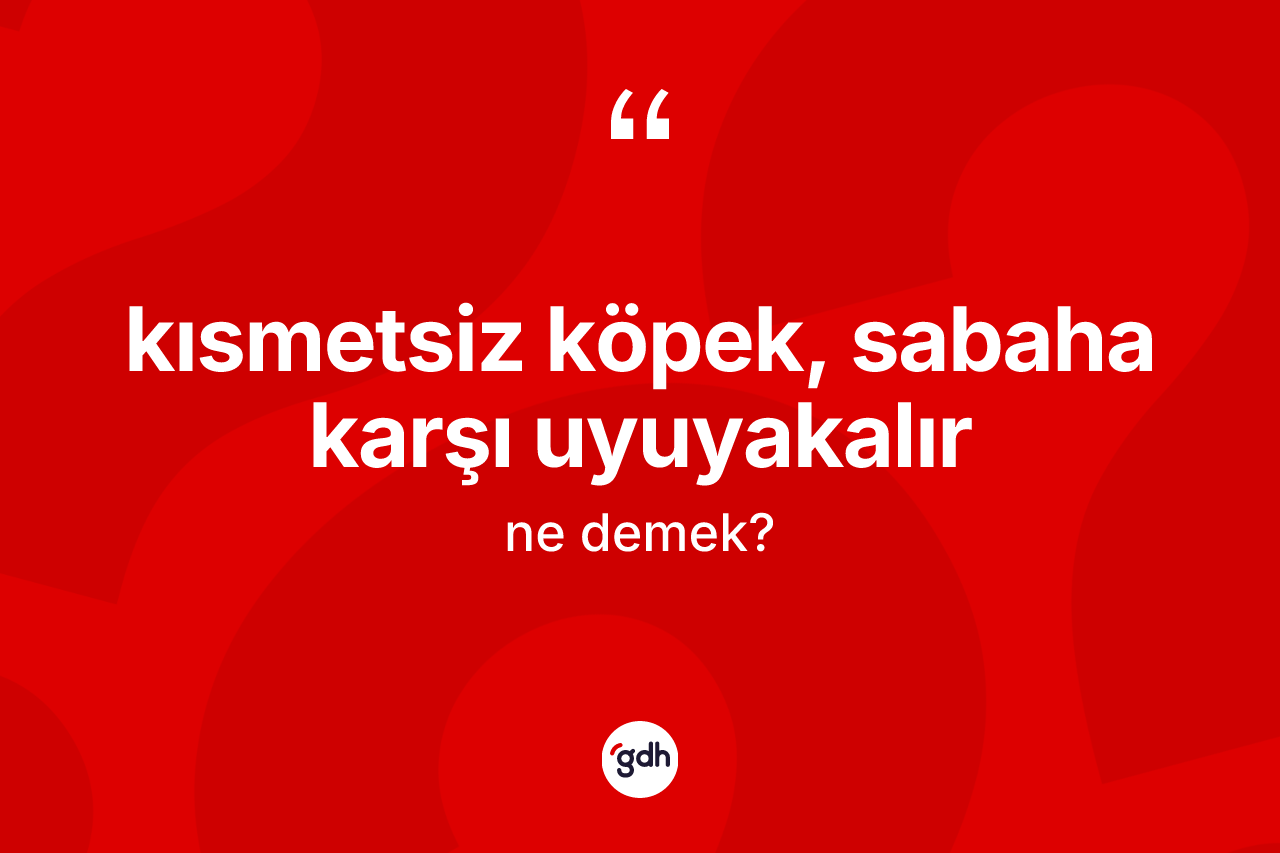 Kısmetsiz köpek, sabaha karşı uyuyakalır ifadesi neyi anlatır?