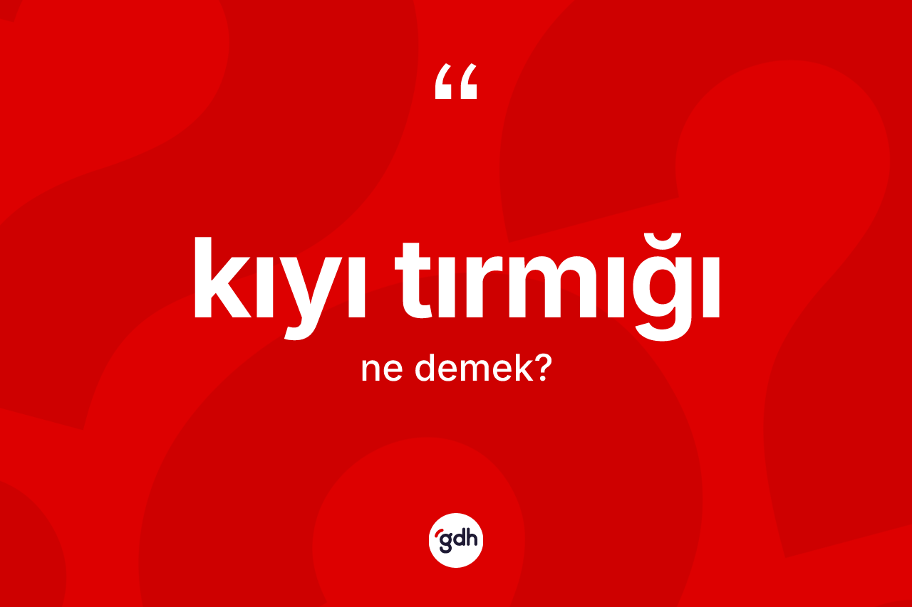Kıyı tırmığı kelimesinin sözlükteki tanımı nedir?
