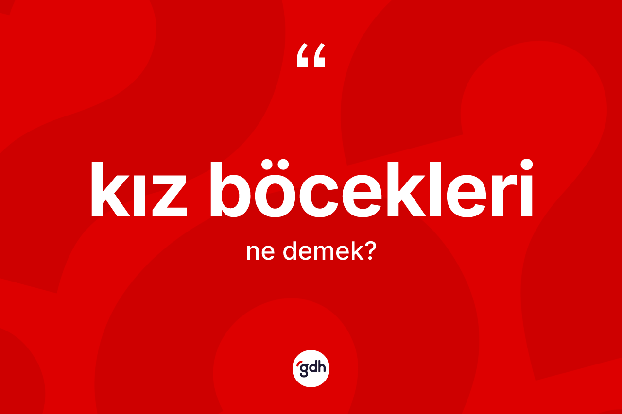 Kız böcekleri kelimesi nedir?