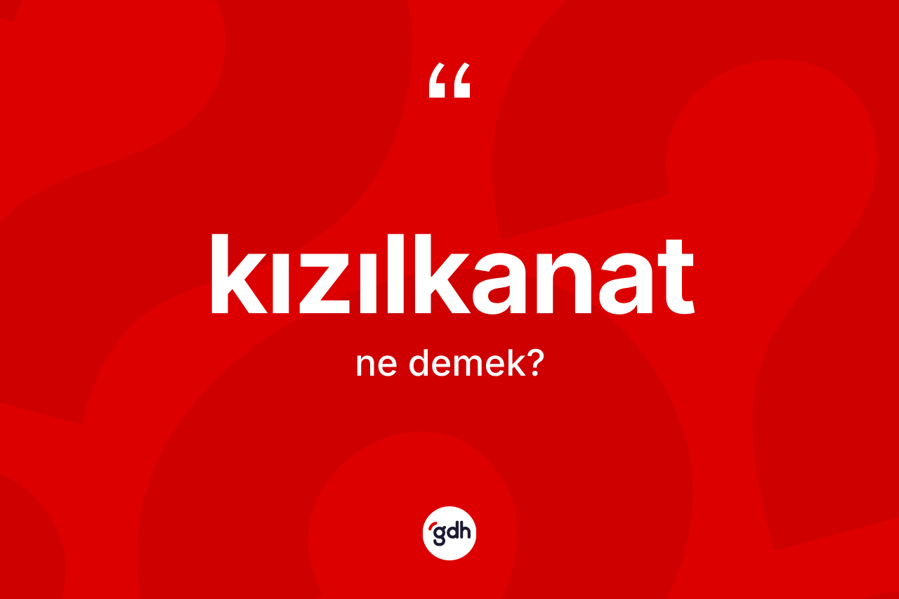 Kızılkanat nedir?