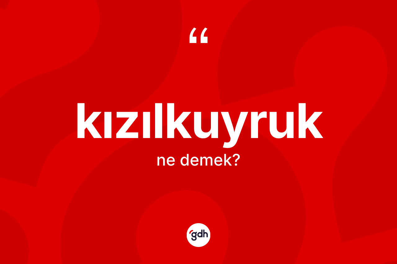 Kızılkuyruk kelimesinin tanımı nedir?