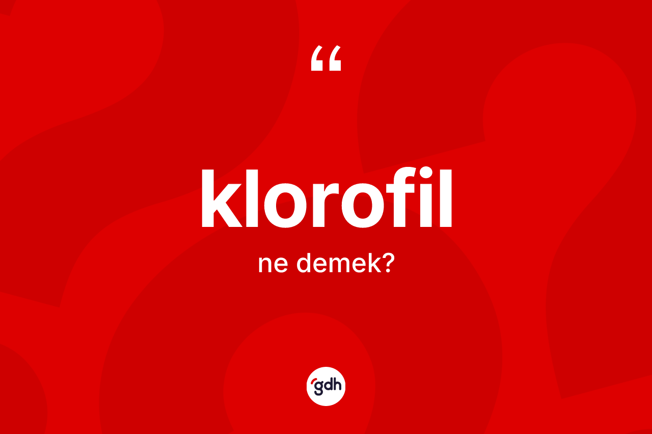 Klorofil kelimesinin anlamı nedir?