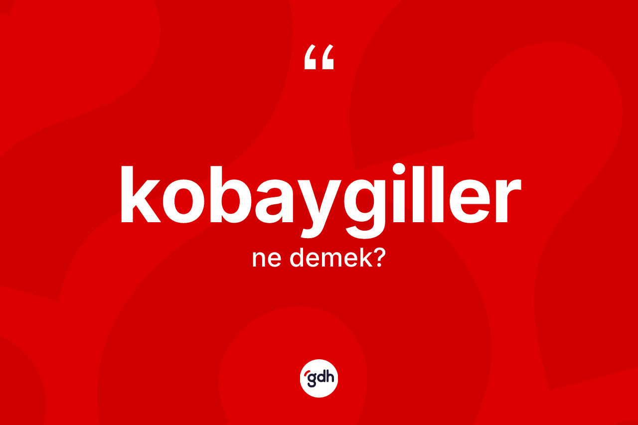Kobaygiller kelimesinin sözlükteki tanımı nedir?
