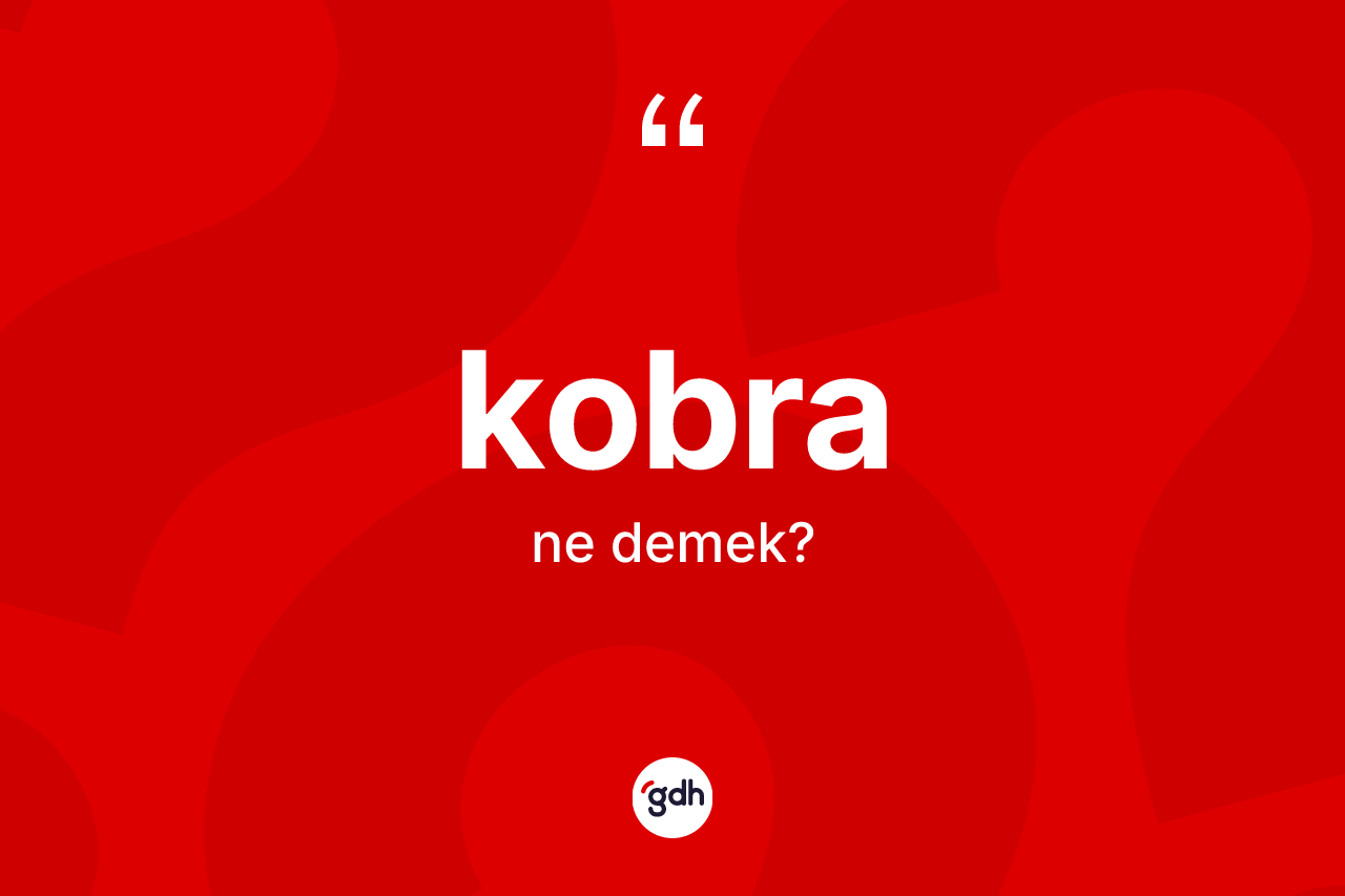 Kobra kelimesinin tanımı nedir?
