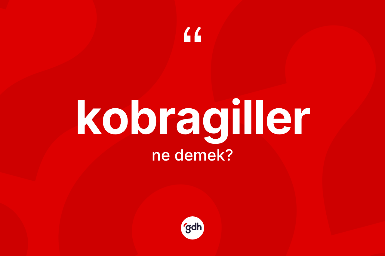 Kobragiller kelimesinin tanımı nedir?