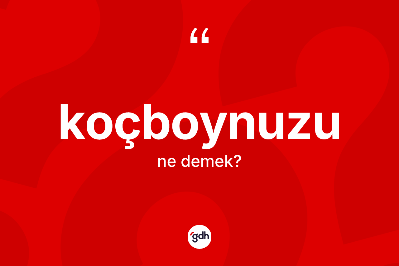 Koçboynuzu kelimesinin tanımı nedir?