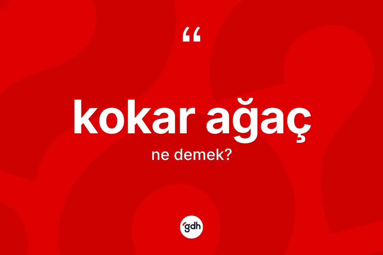 Kokar ağaç nedir?