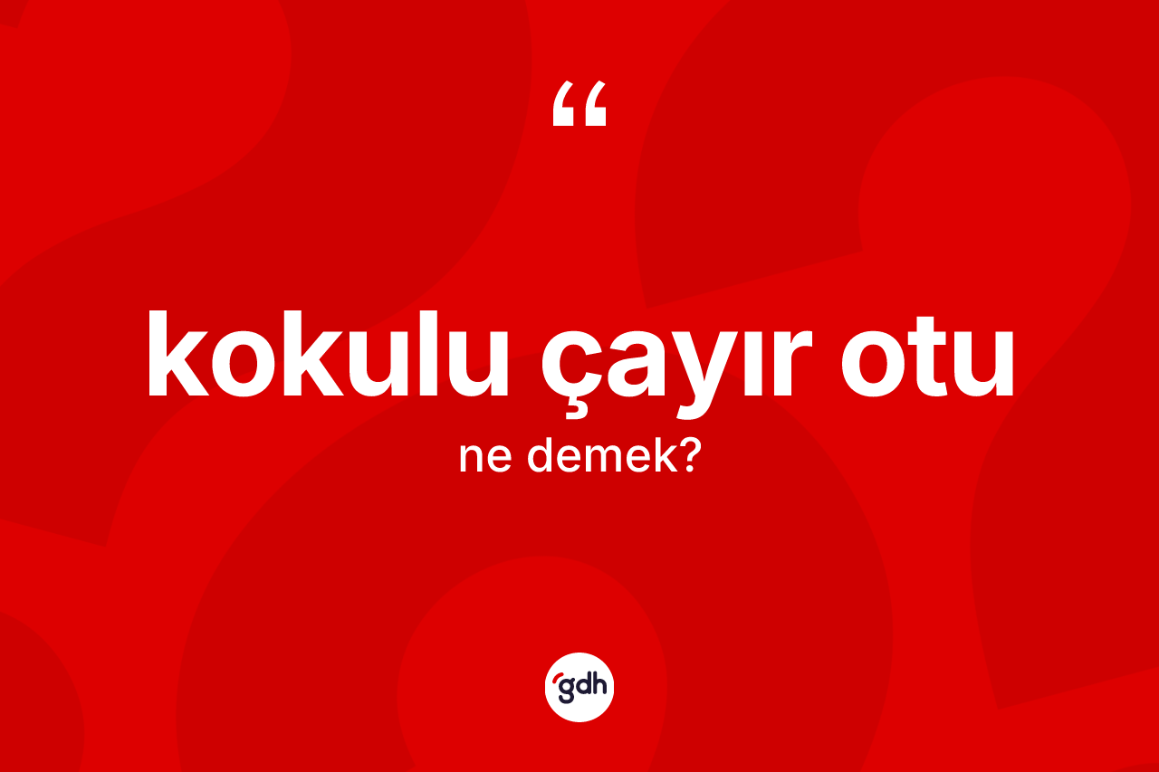 Kokulu çayır otu kelimesinin tanımı nedir?