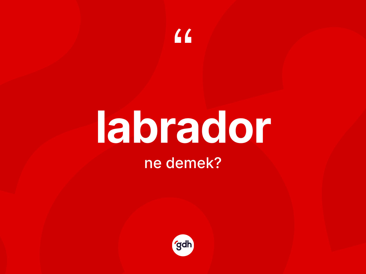Labrador kelimesi ne demek? Labradorun sözlükteki anlamı nedir?