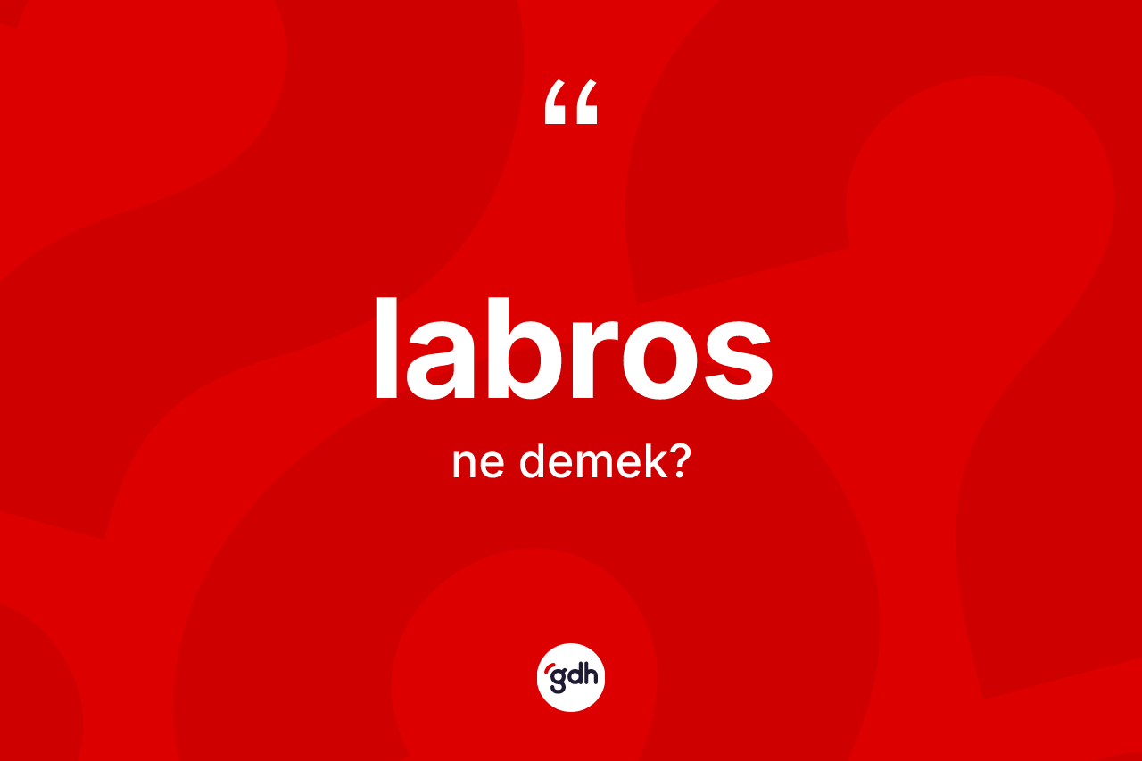 Labros kelimesinin tanımı nedir? Labrosun kısaca tanımı nedir?