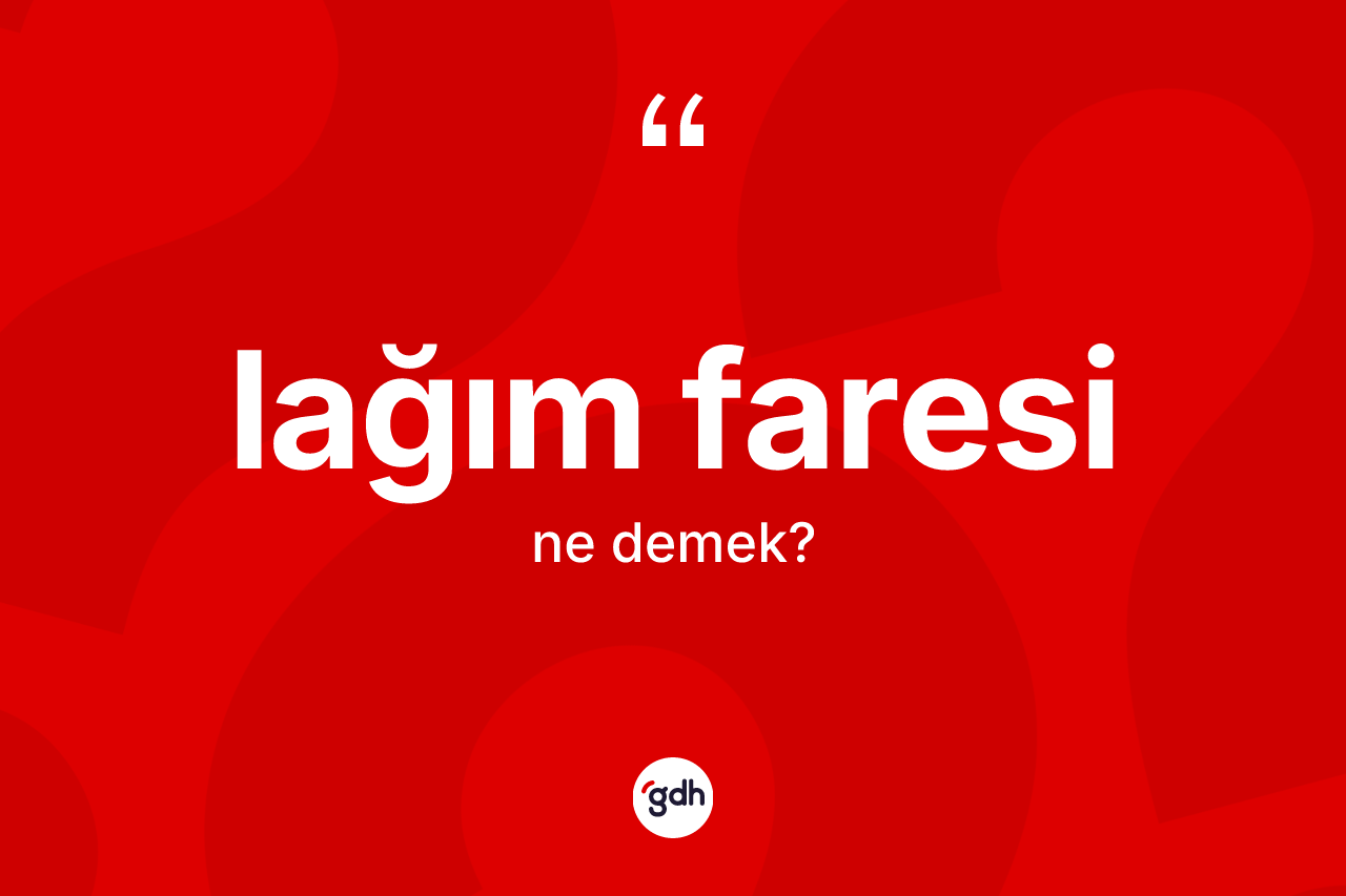 Lağım faresi kelimesi nedir? Lağım faresi kelimesinin TDK'ya göre açıklaması nedir?