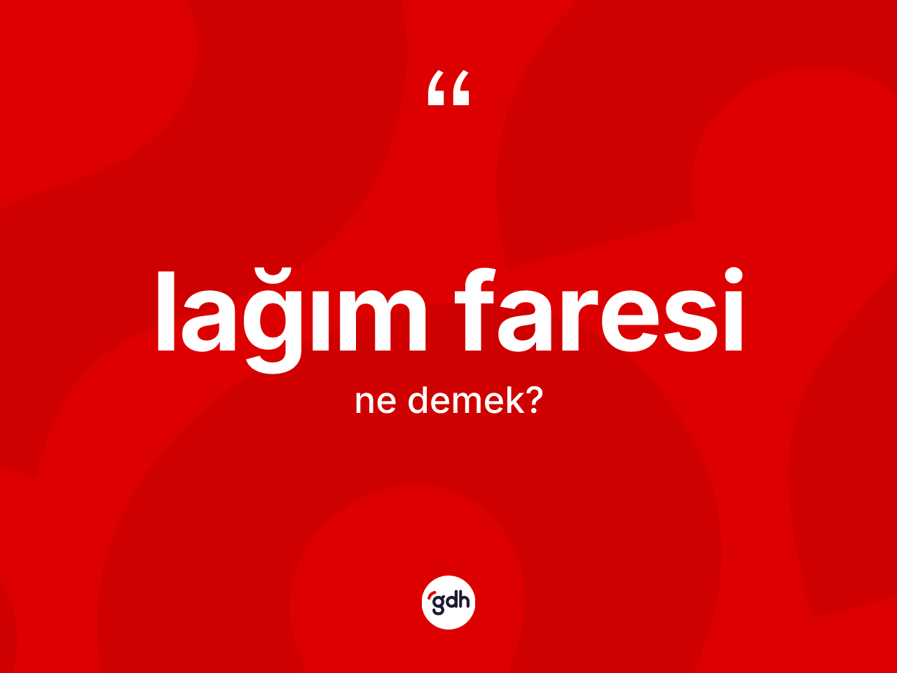 Lağım faresi kelimesi nedir? Lağım faresi kelimesinin TDK'ya göre açıklaması nedir?