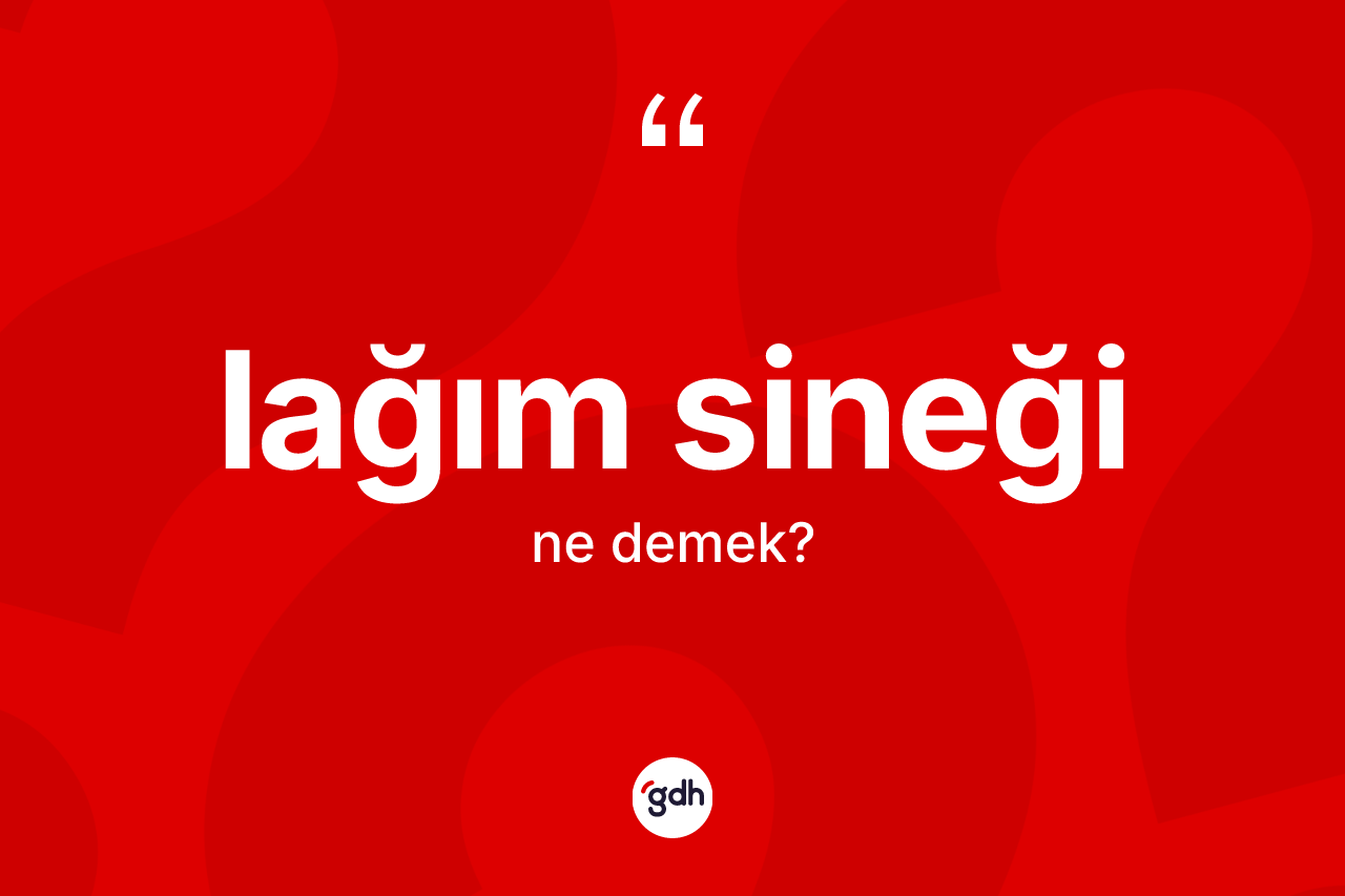 Lağım sineği  kelimesinin sözlükteki tanımı nedir? Lağım sineği in TDK'ya göre anlamı nedir?
