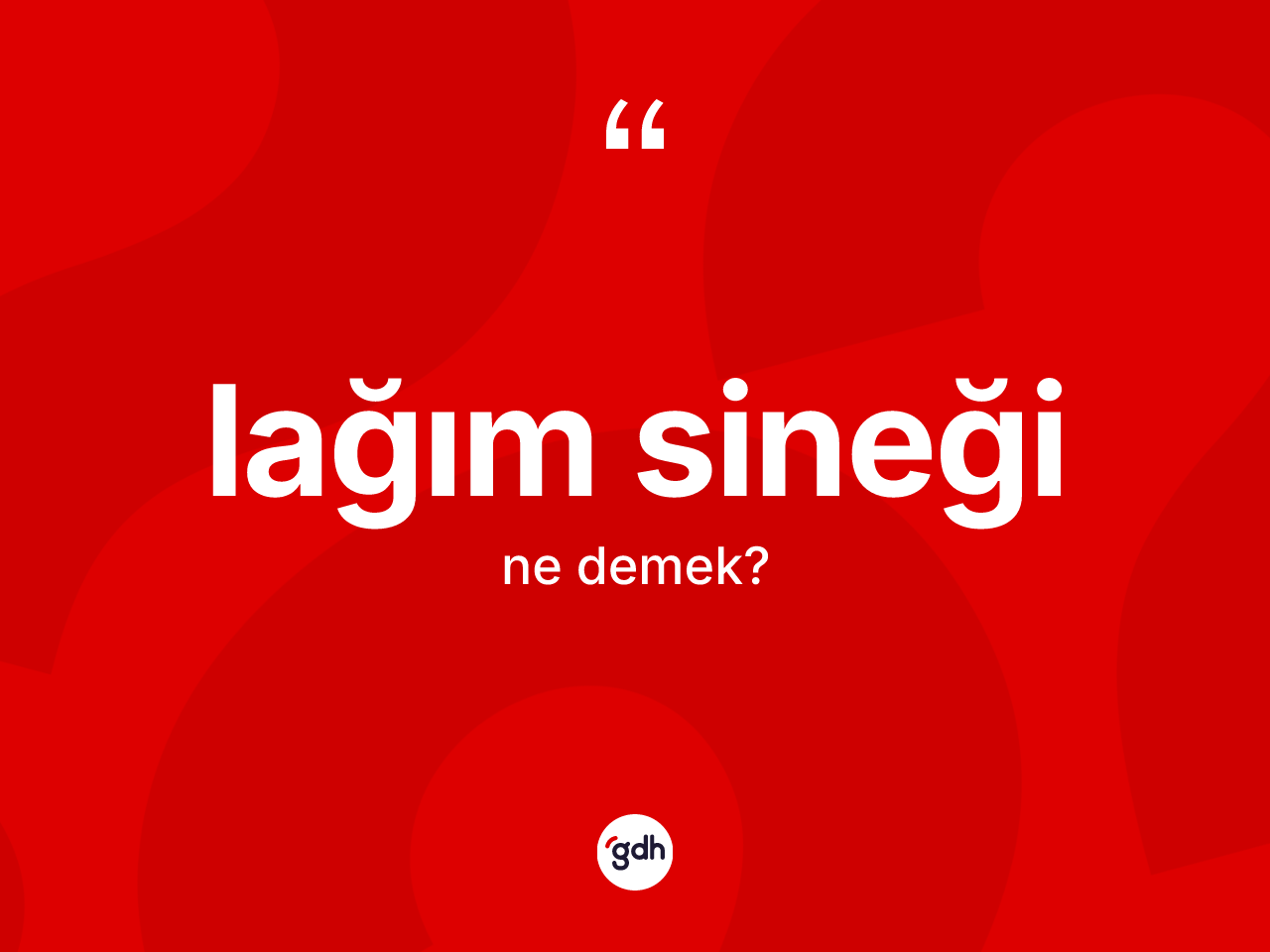 Lağım sineği  kelimesinin sözlükteki tanımı nedir? Lağım sineği in TDK'ya göre anlamı nedir?