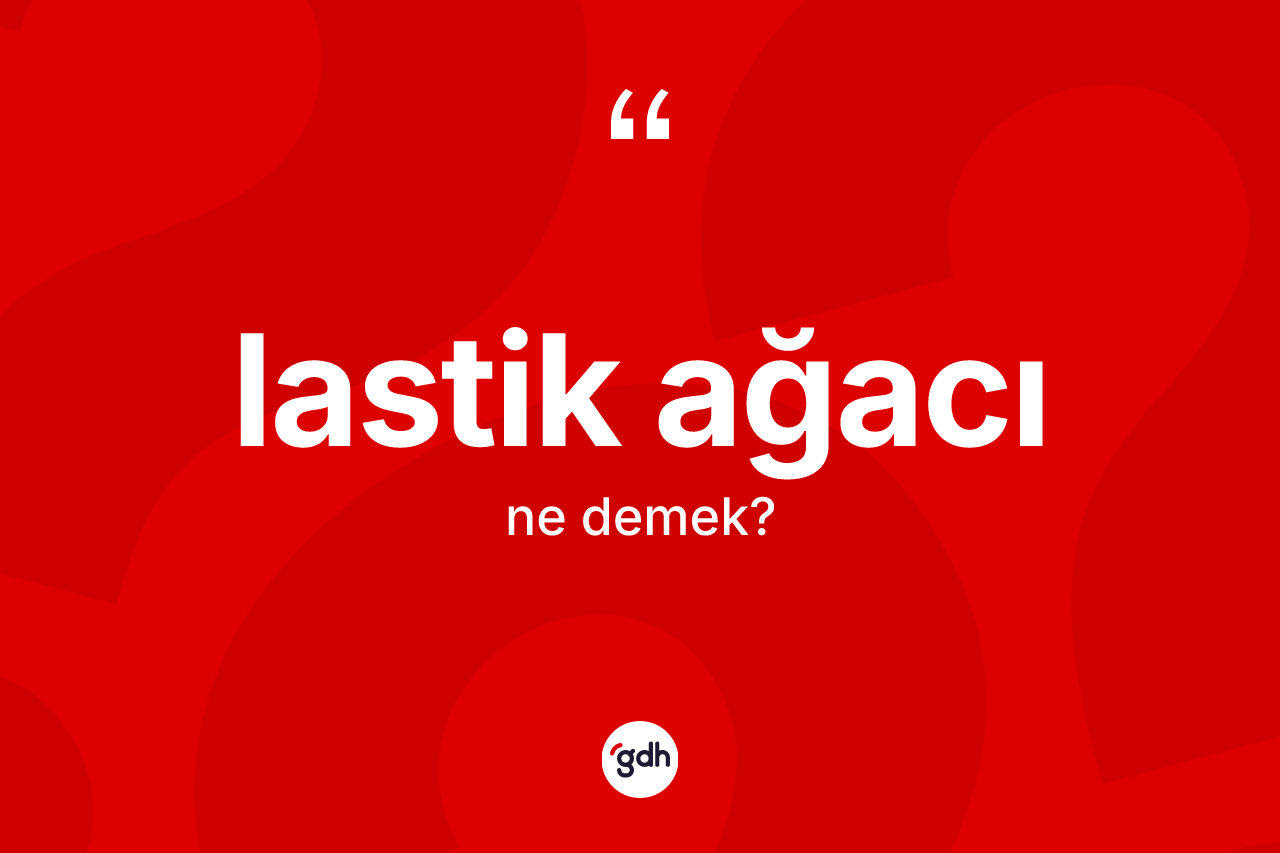 Lastik ağacı kelimesinin sözlükteki tanımı nedir?