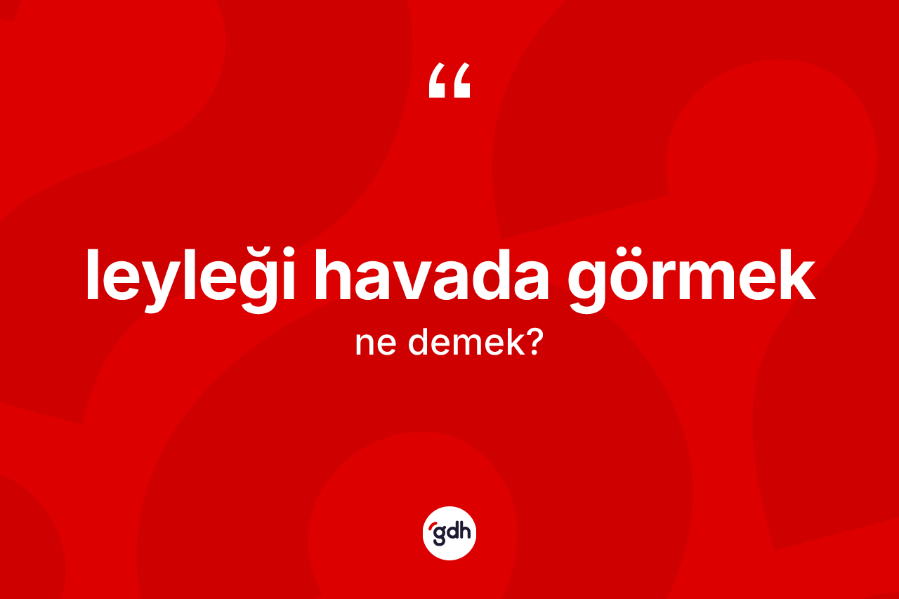 Leyleği havada görmek ifadesinin tanımı nedir? Leyleği havada görmek ifadesinin TDK'ya göre açıklaması nedir?
