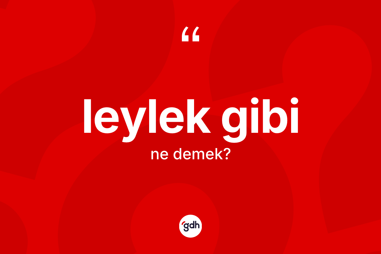 Leylek gibi ifadesi neyi anlatır?