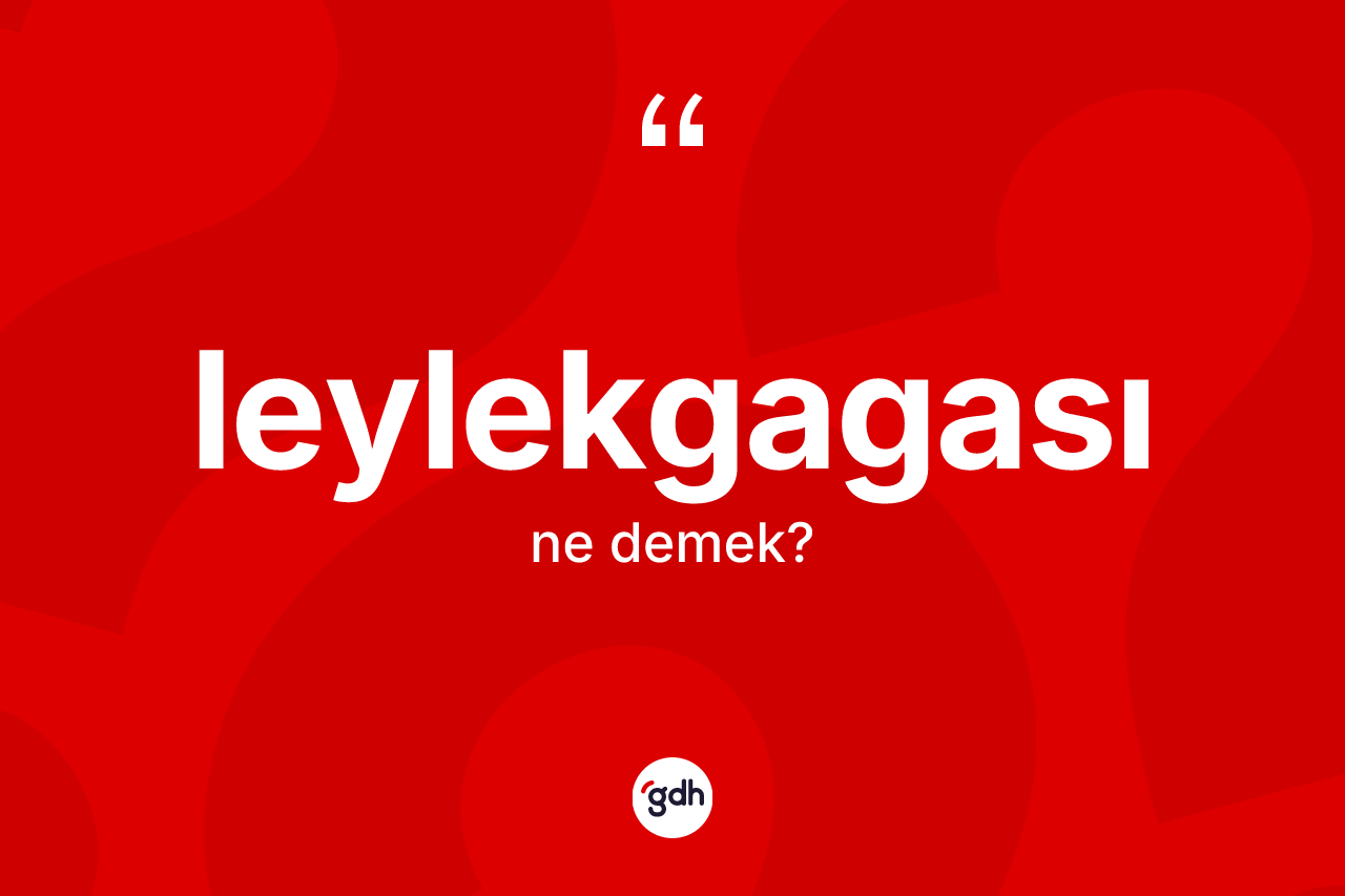 Leylekgagası kelimesi nedir?